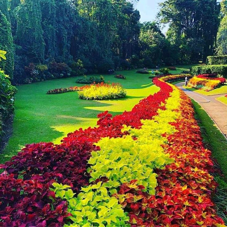Royal Botanical Gardens Peradeniya